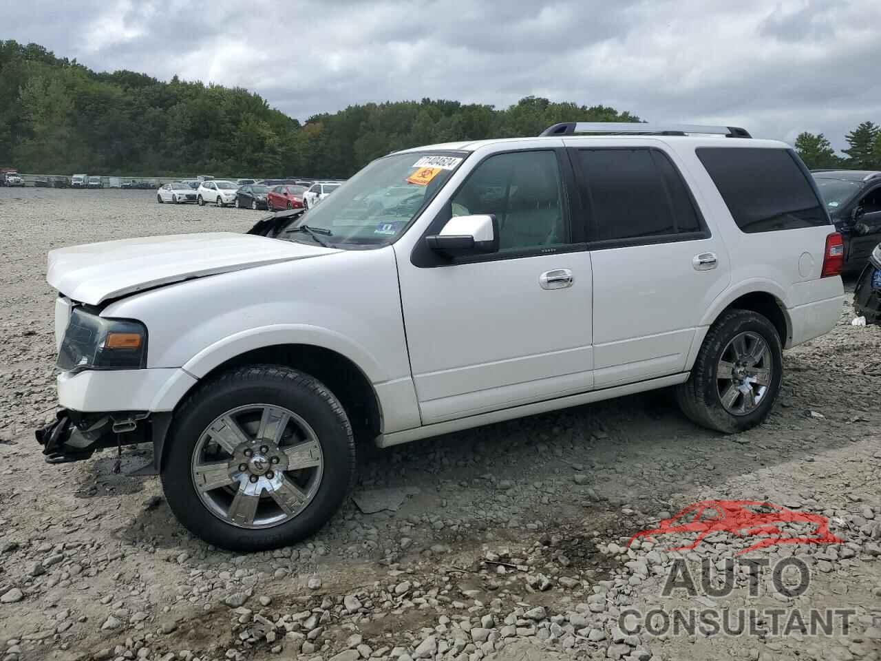 FORD EXPEDITION 2010 - 1FMJU2A53AEA58280