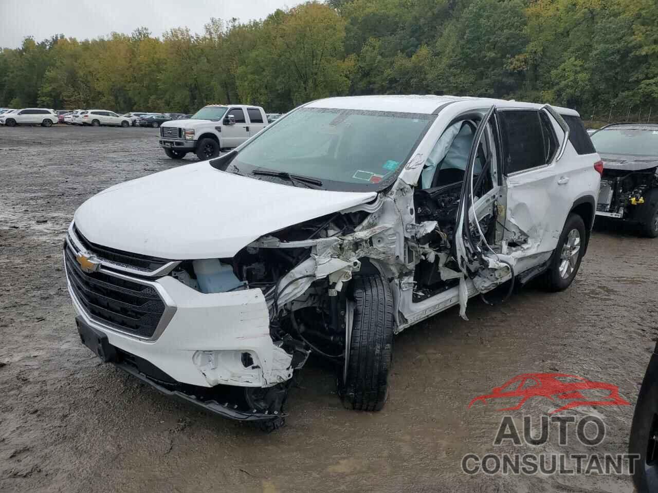 CHEVROLET TRAVERSE 2020 - 1GNEVFKW4LJ226656