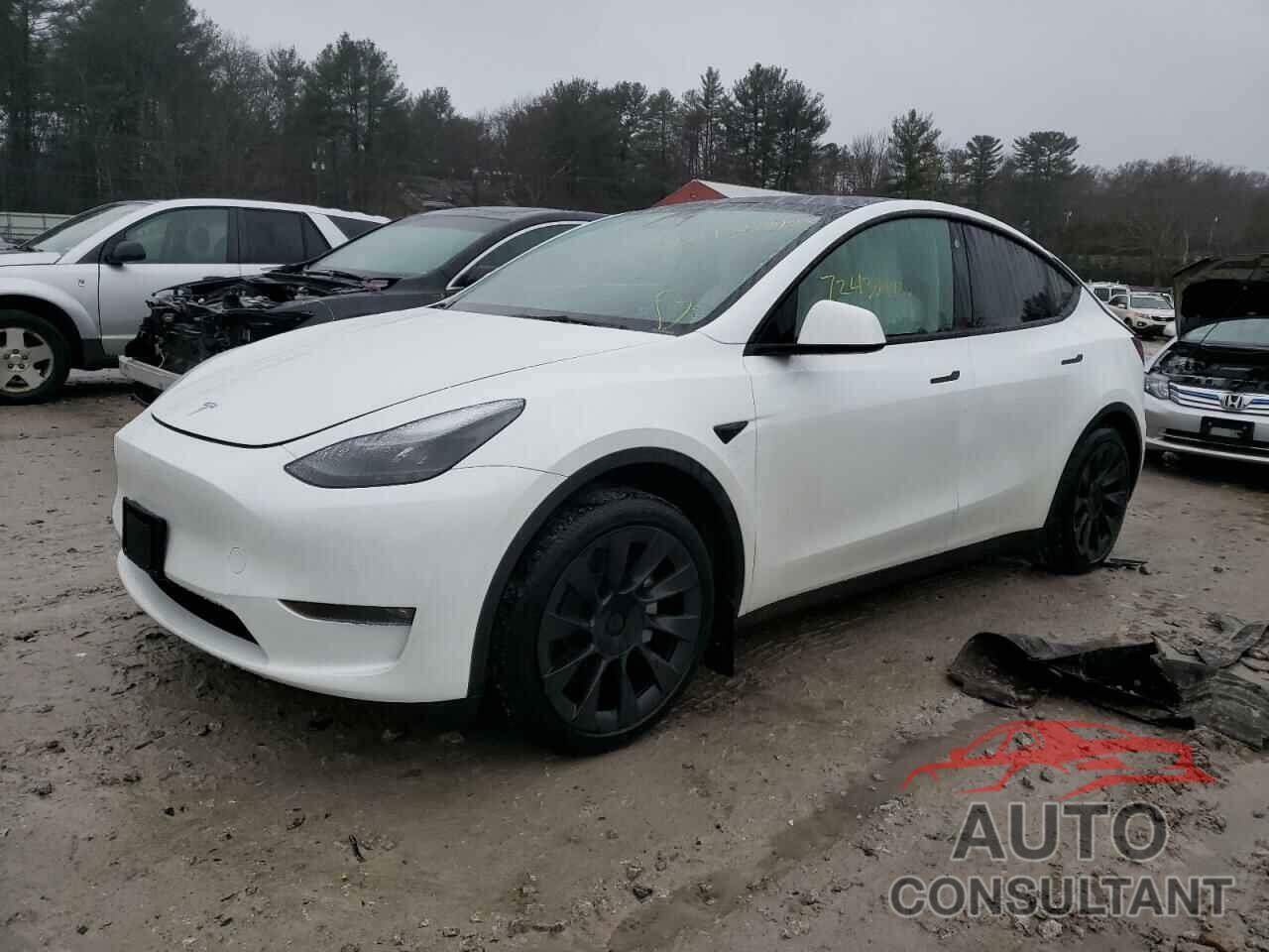 TESLA MODEL Y 2022 - 7SAYGAEE8NF524081