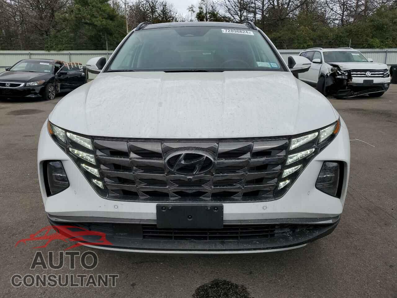 HYUNDAI TUCSON 2024 - 5NMJECDE4RH395102