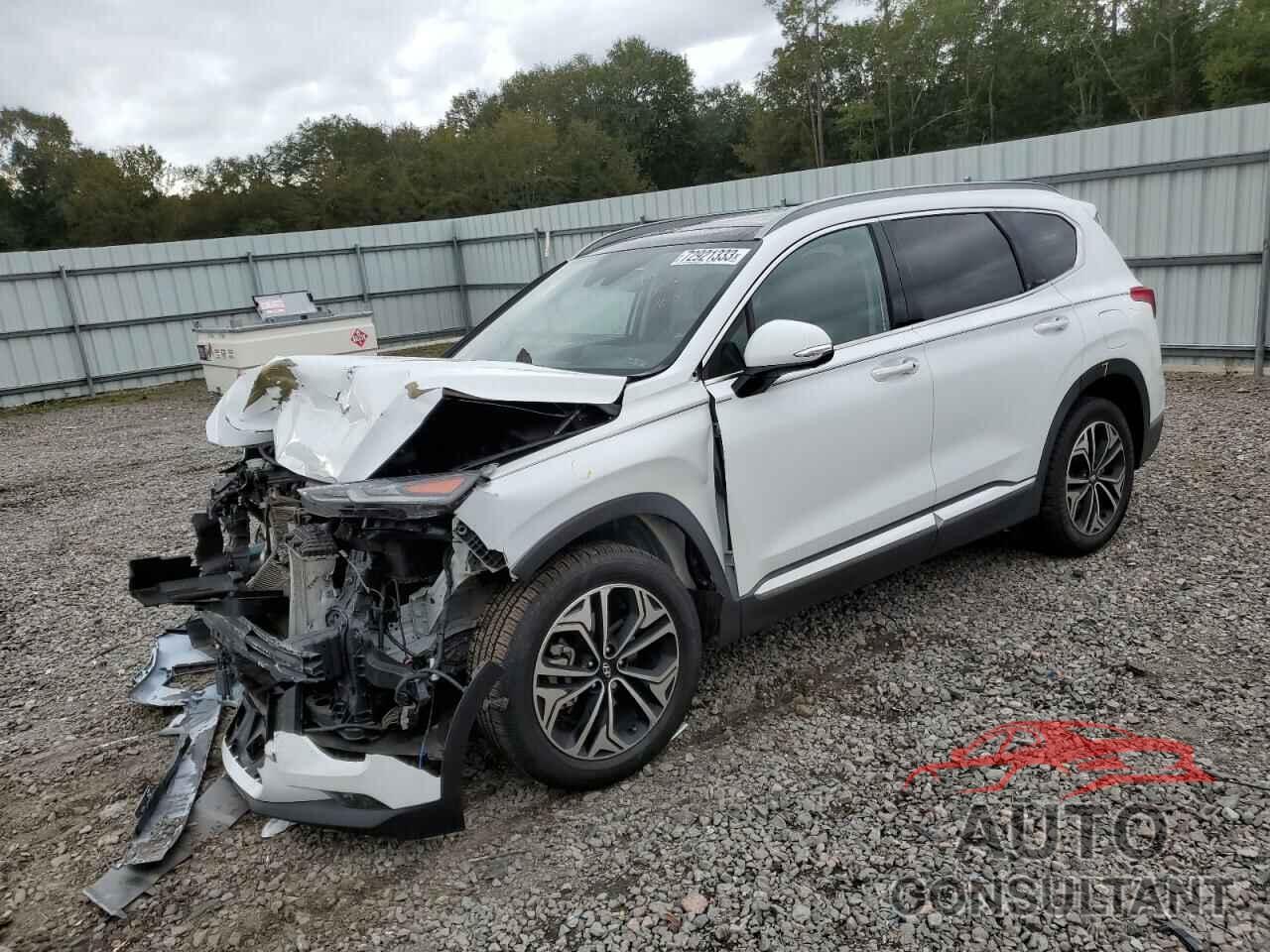 HYUNDAI SANTA FE 2019 - 5NMS53AA0KH035515