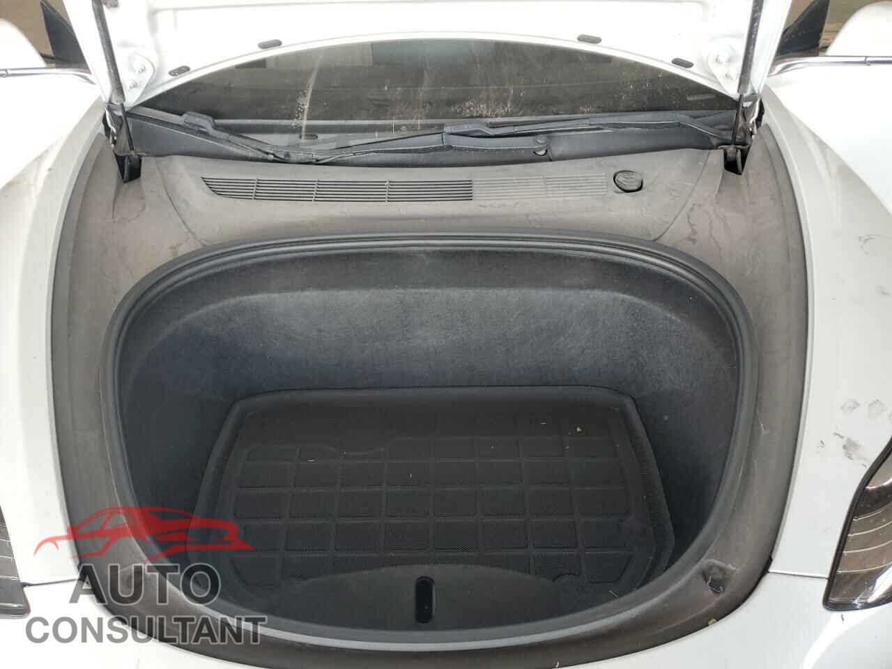 TESLA MODEL 3 2019 - 5YJ3E1EA5KF310252