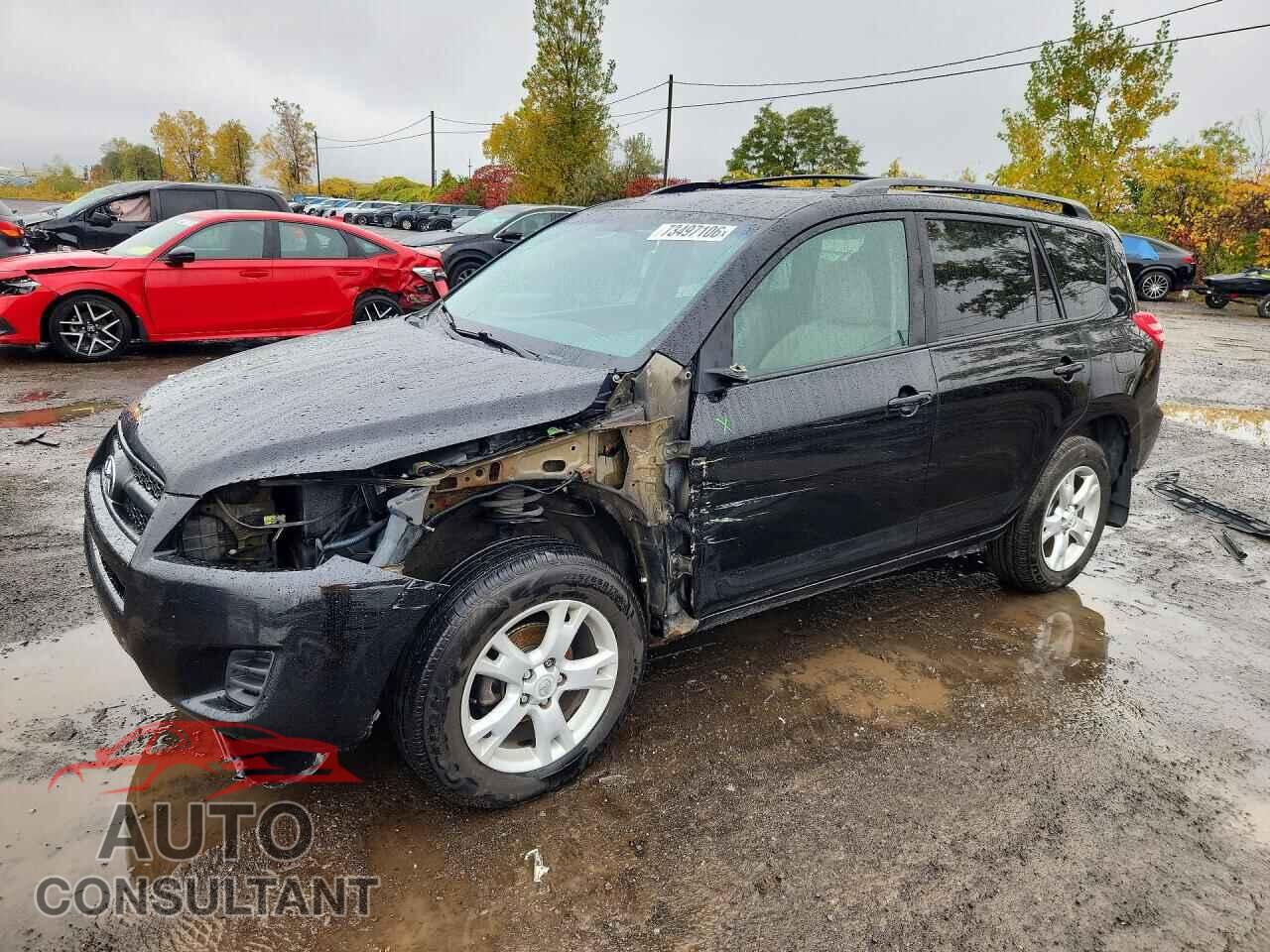 TOYOTA RAV4 2011 - 2T3BF4DV6BW166610