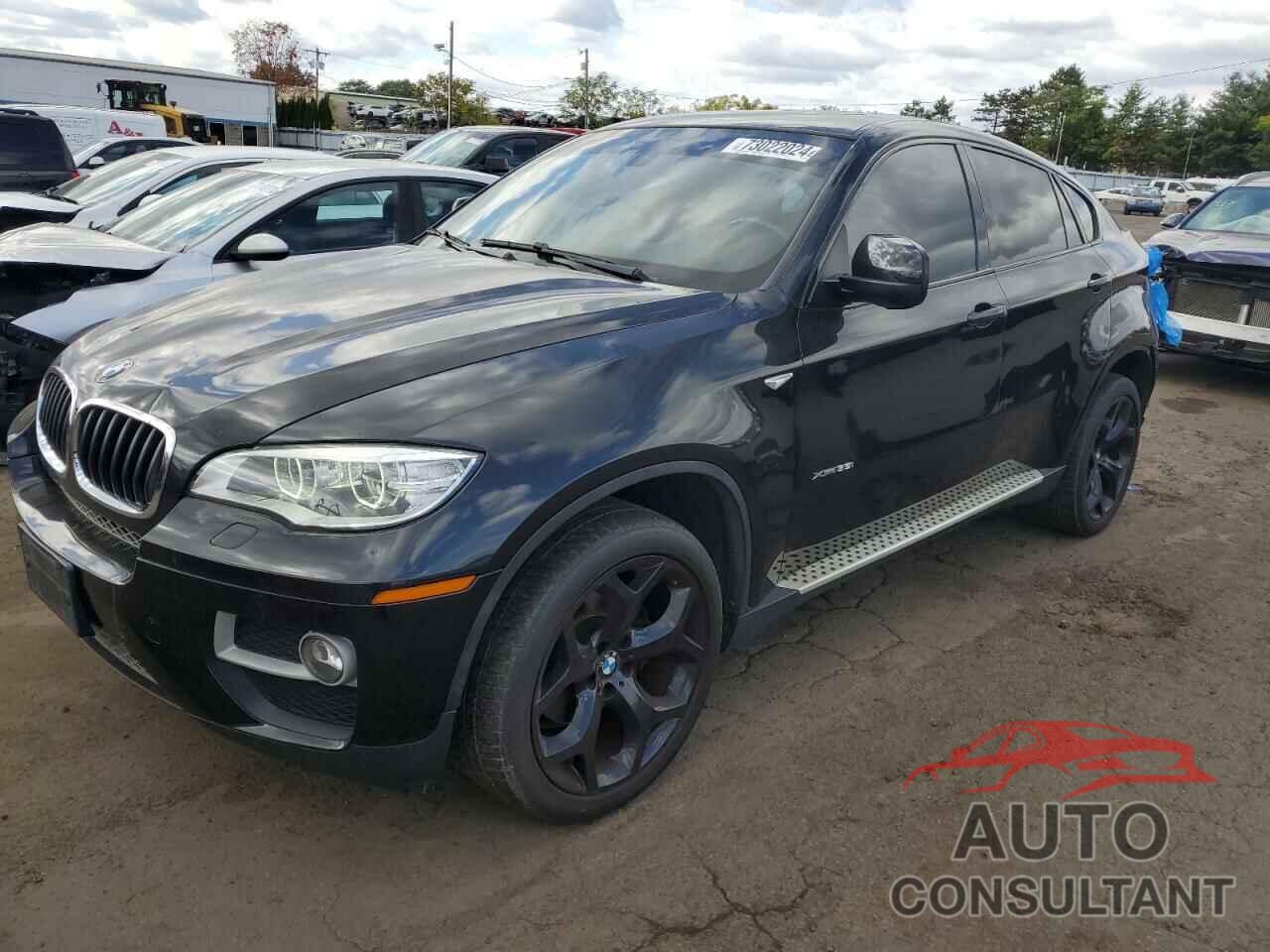 BMW X6 2013 - 5UXFG2C51DL782773