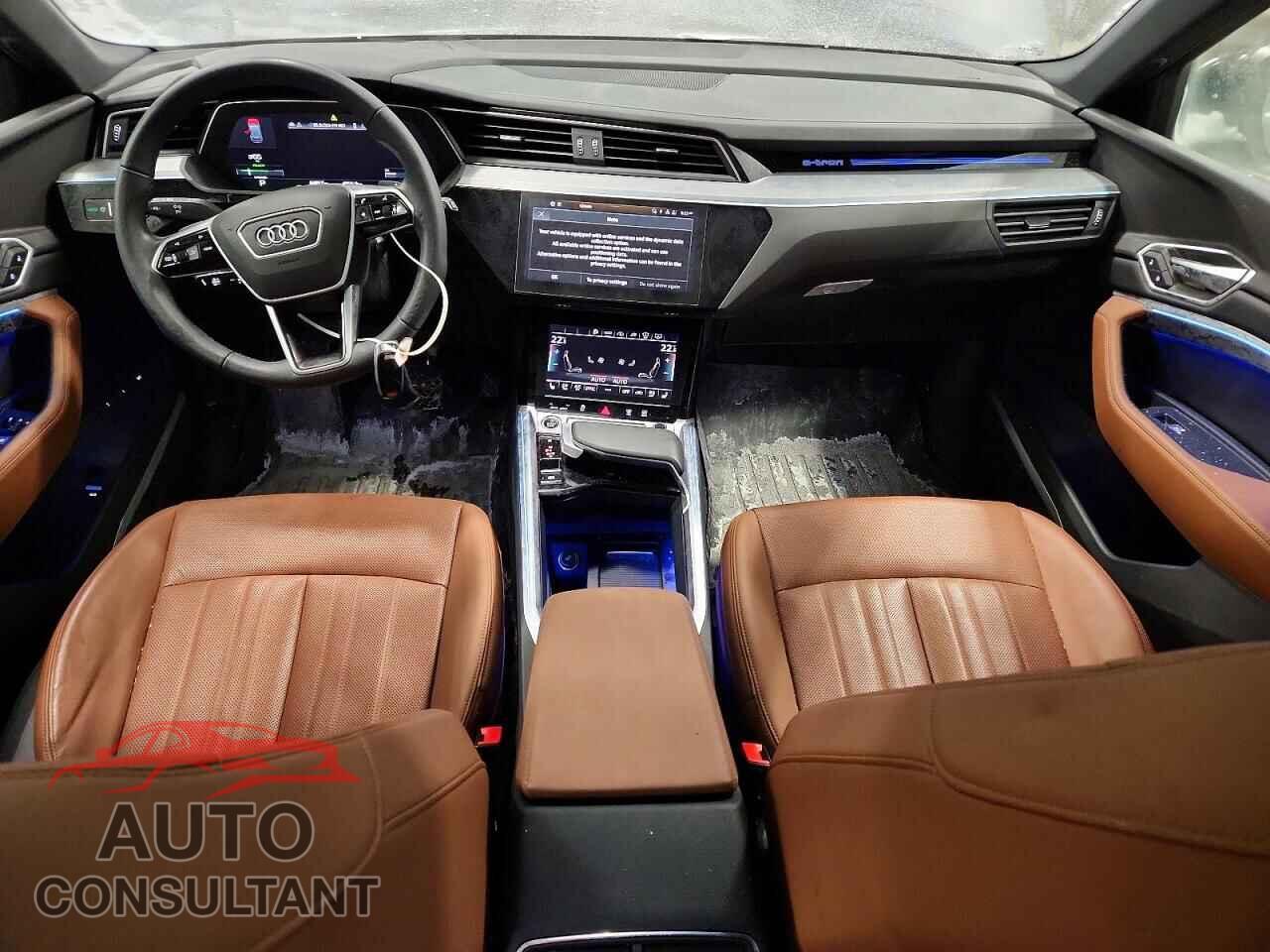 AUDI E-TRON CHR 2023 - WA1VAAGE6PB009935