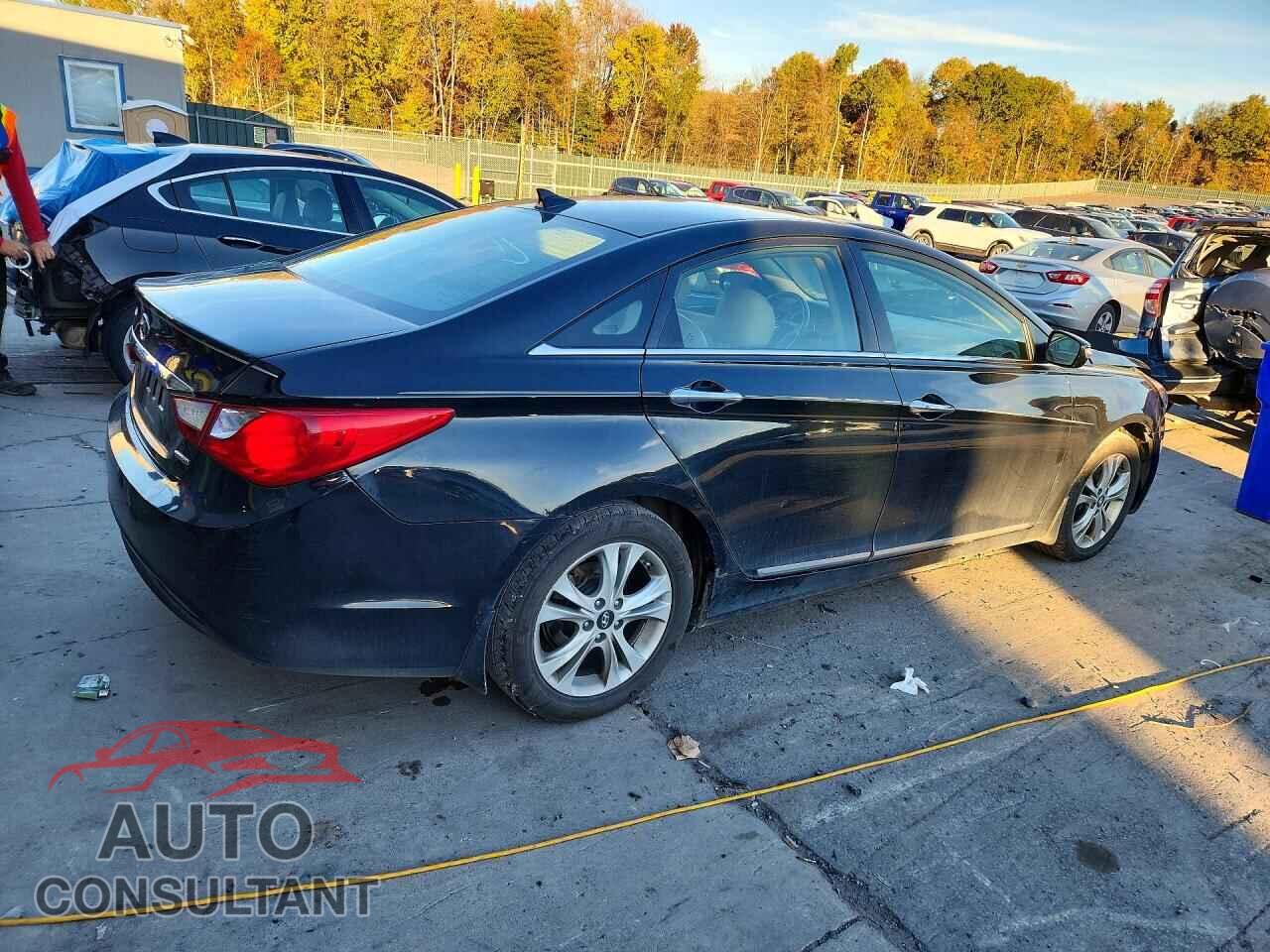 HYUNDAI SONATA 2013 - 5NPEC4AC1DH511559