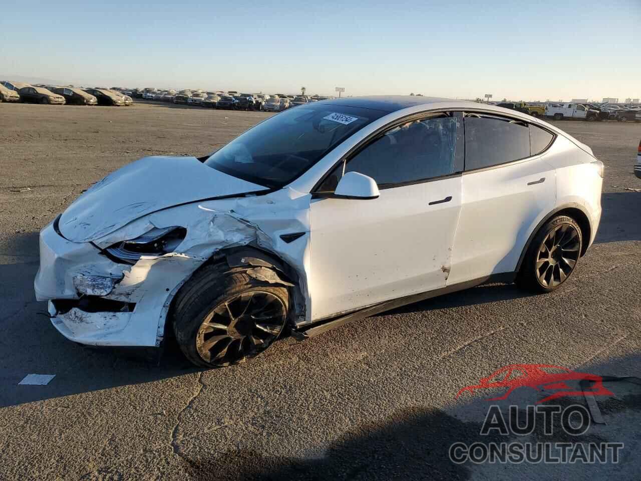 TESLA MODEL Y 2021 - 5YJYGAEE0MF196814