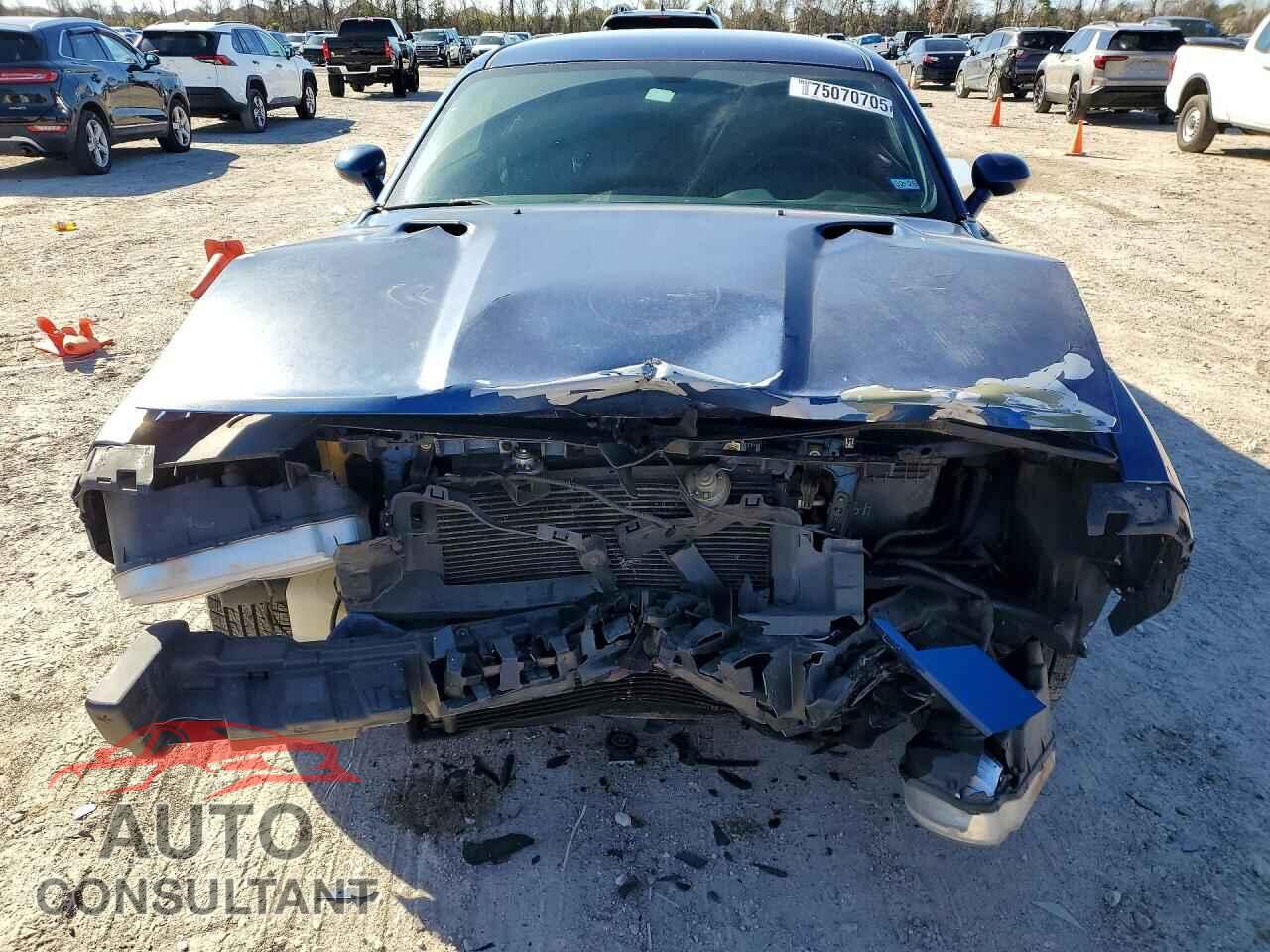 DODGE CHALLENGER 2010 - 2B3CJ4DVXAH121270