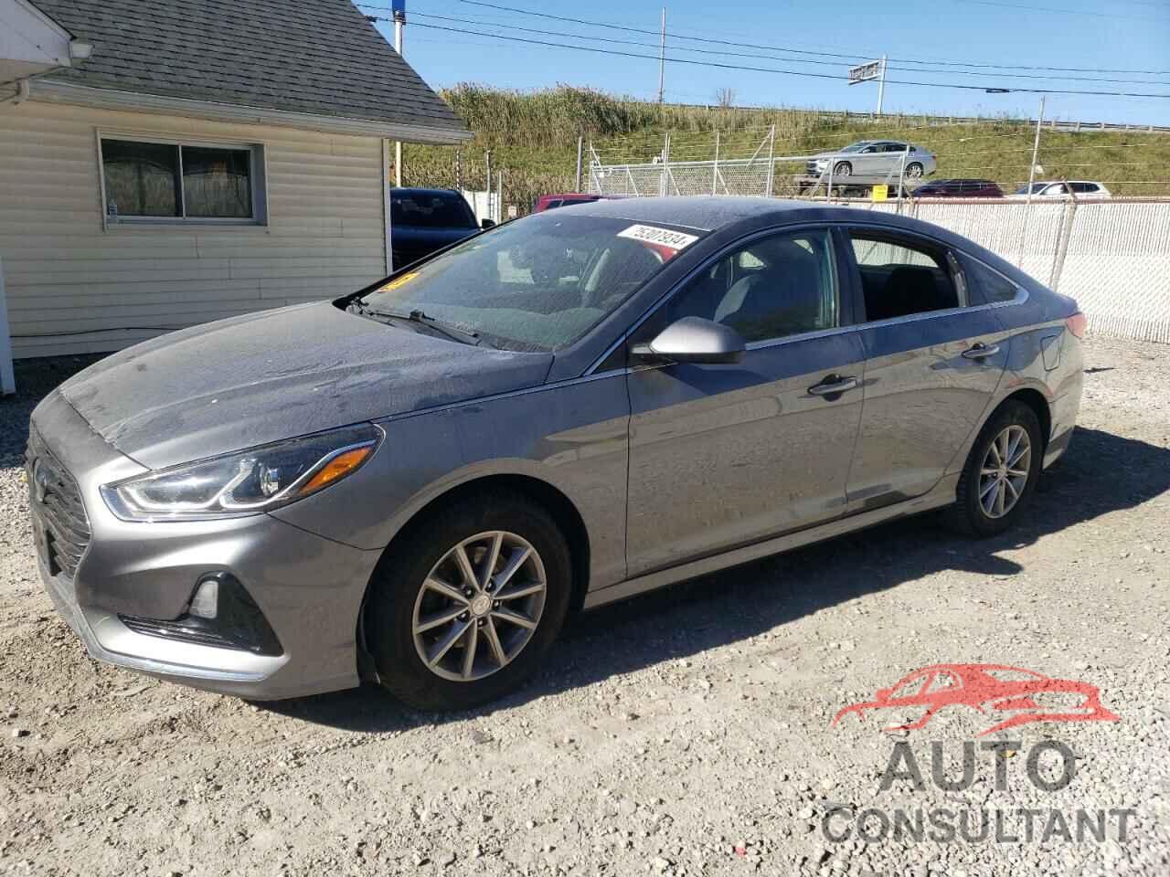 HYUNDAI SONATA 2019 - 5NPE24AF5KH776186
