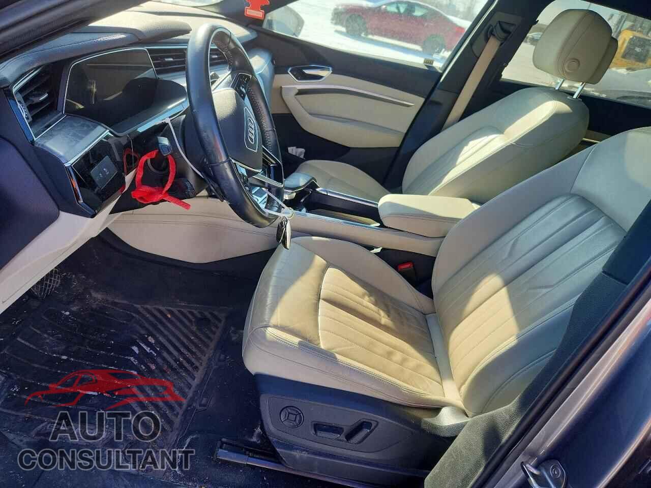 AUDI E-TRON 2019 - WA1AAAGE4KB021993