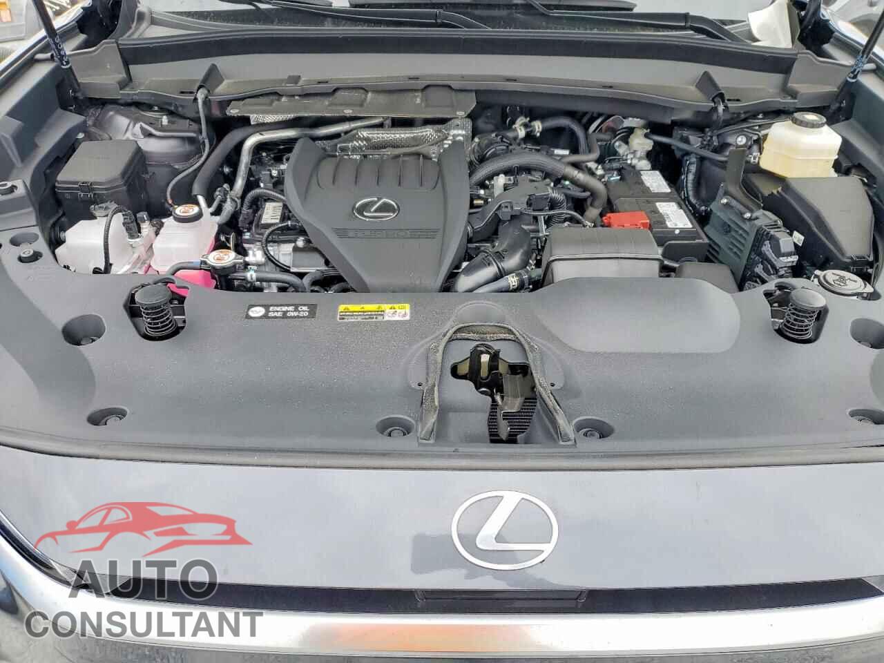 LEXUS UNKNOWN 2025 - 5TDAAAB63SS047306