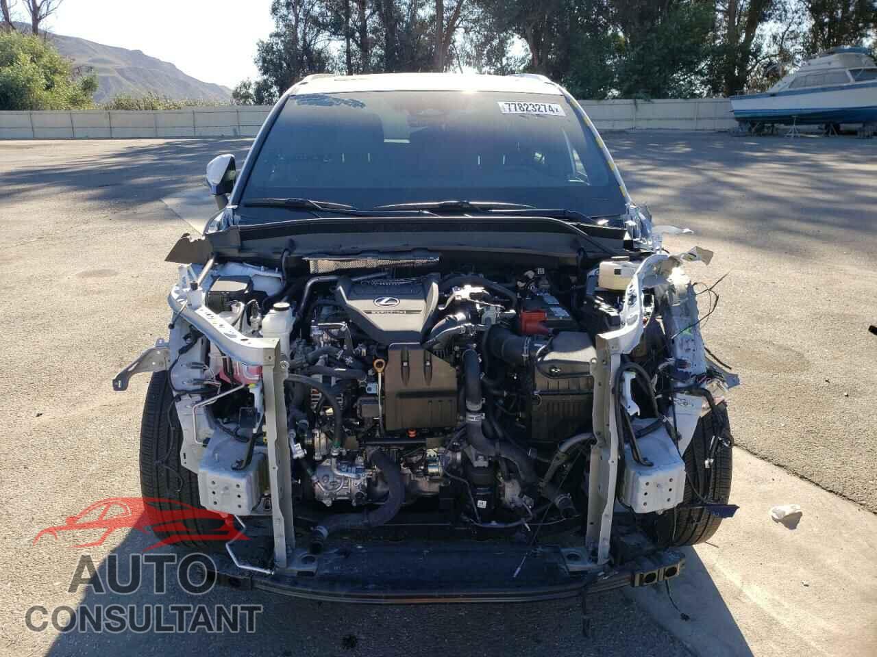 LEXUS TX 350 BAS 2024 - 5TDAAAA66RS004719