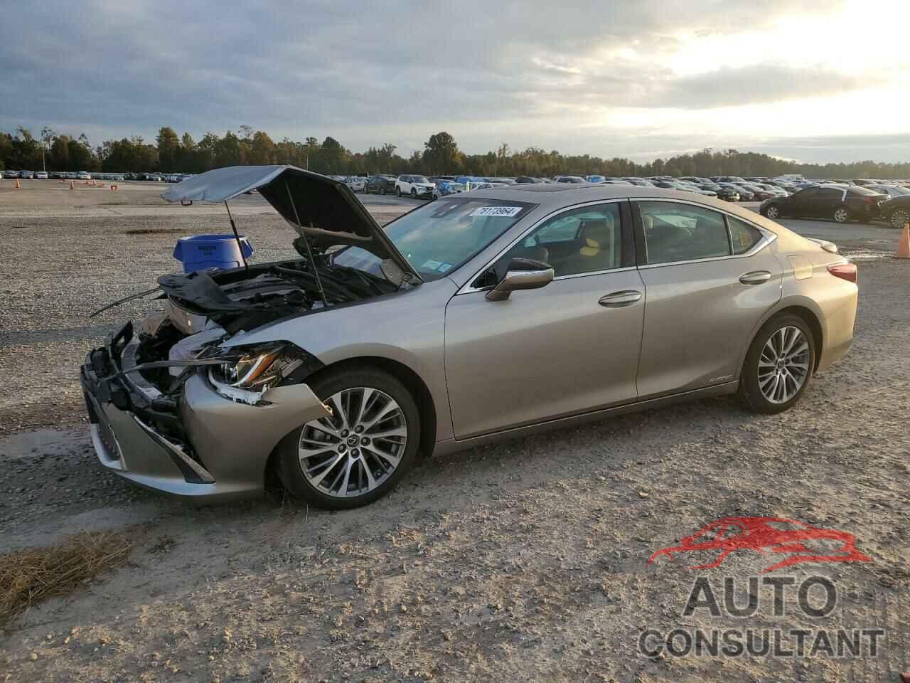 LEXUS ES300 2019 - 58AB21B18KU002299