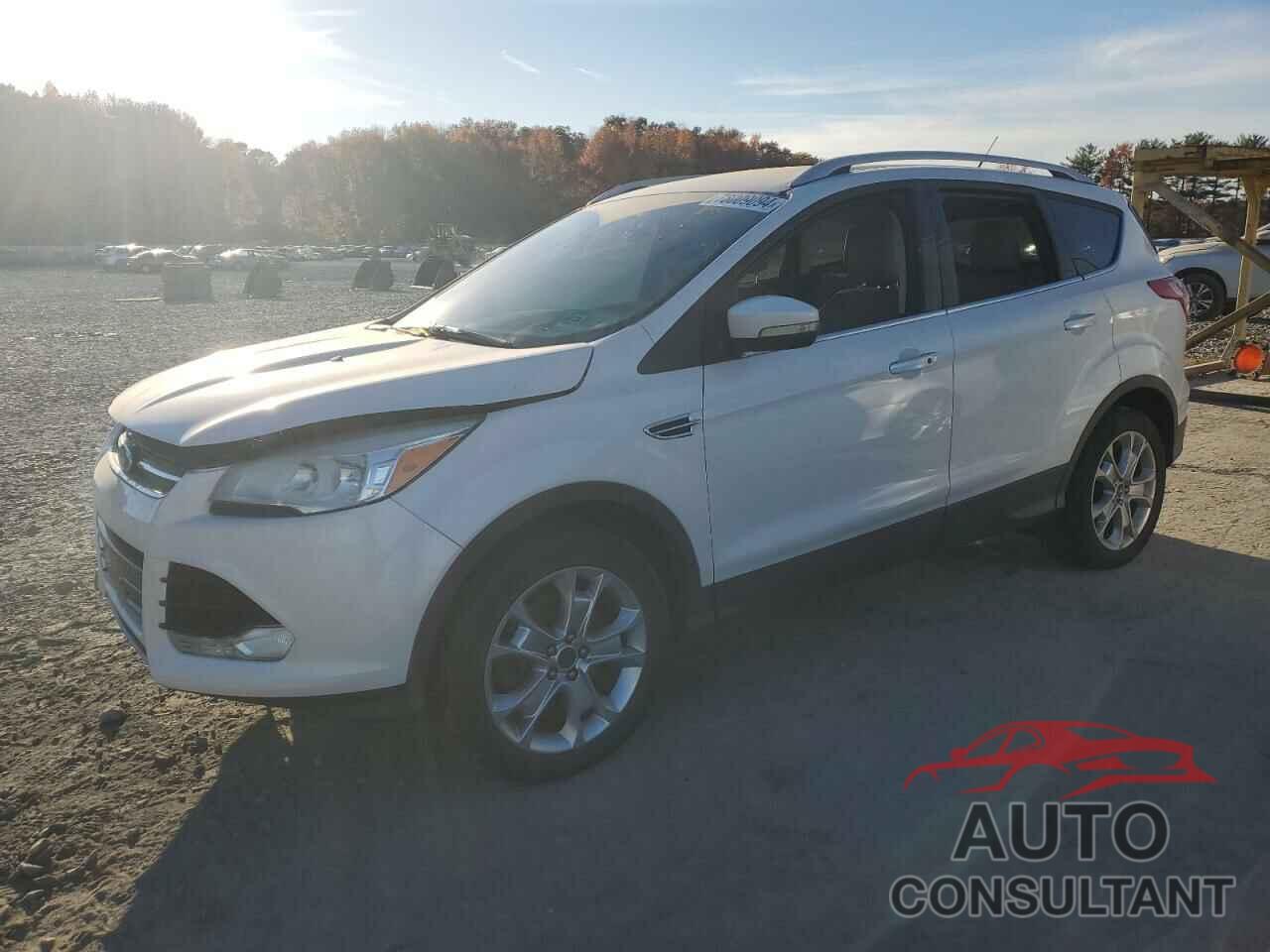 FORD ESCAPE 2014 - 1FMCU9J98EUB53854