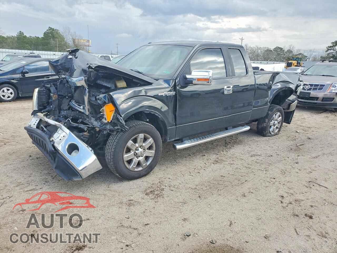 FORD F150 2013 - 1FTFX1CF8DFC76053