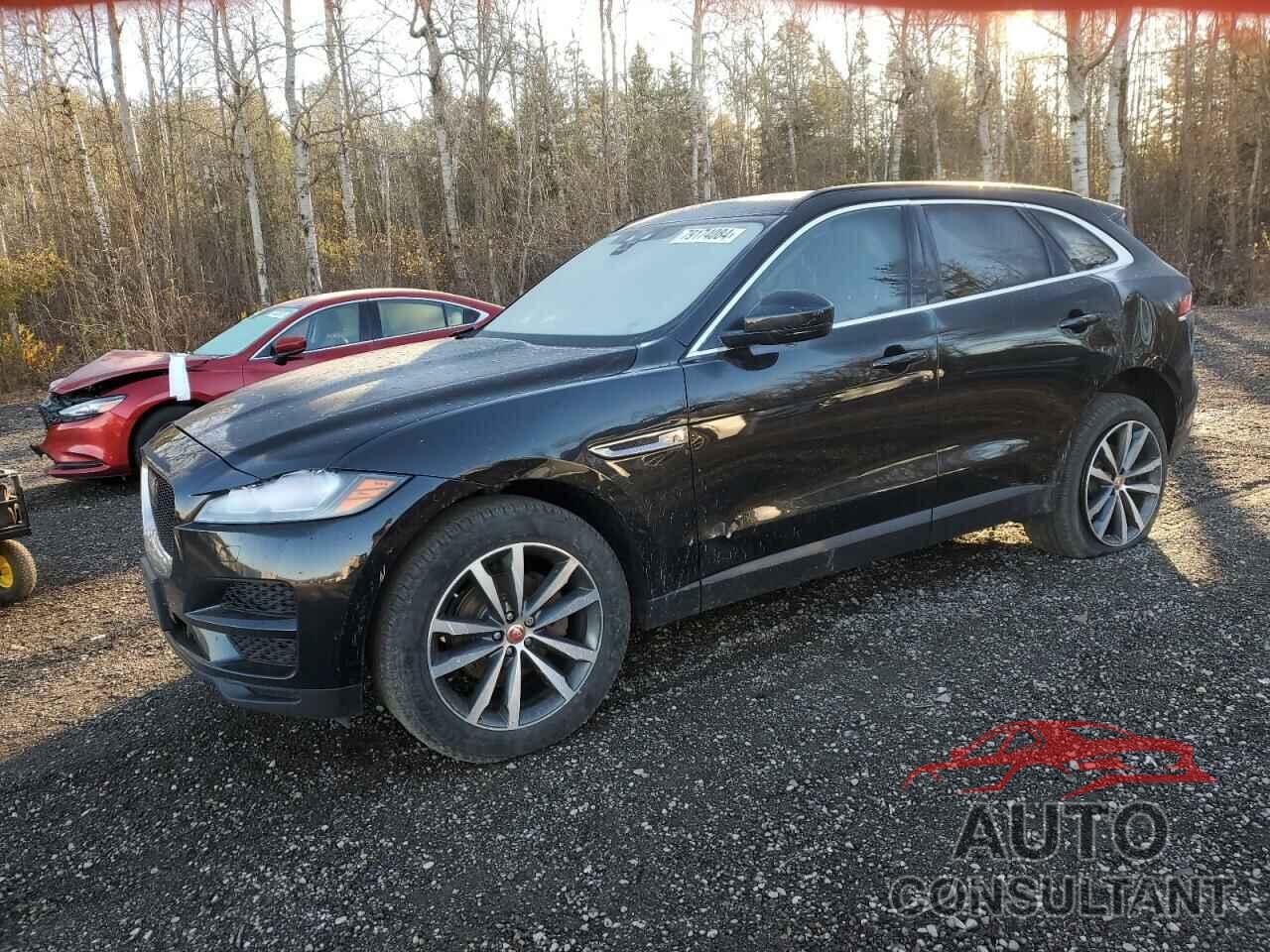 JAGUAR F-PACE 2019 - SADCK2FN3KA353632