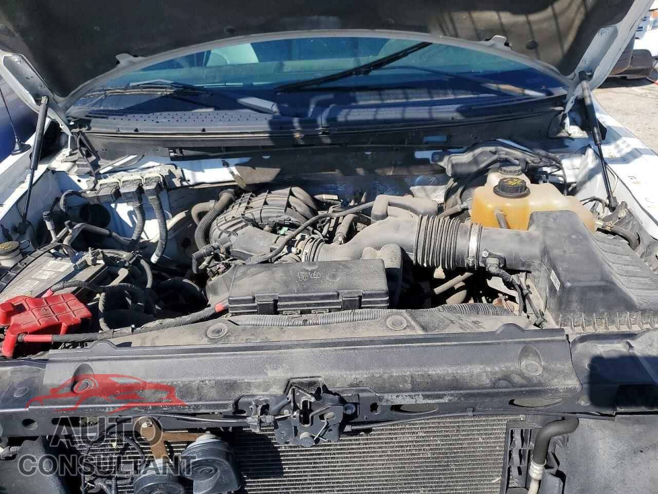 FORD F150 2013 - 1FTMF1EM9DFD24763
