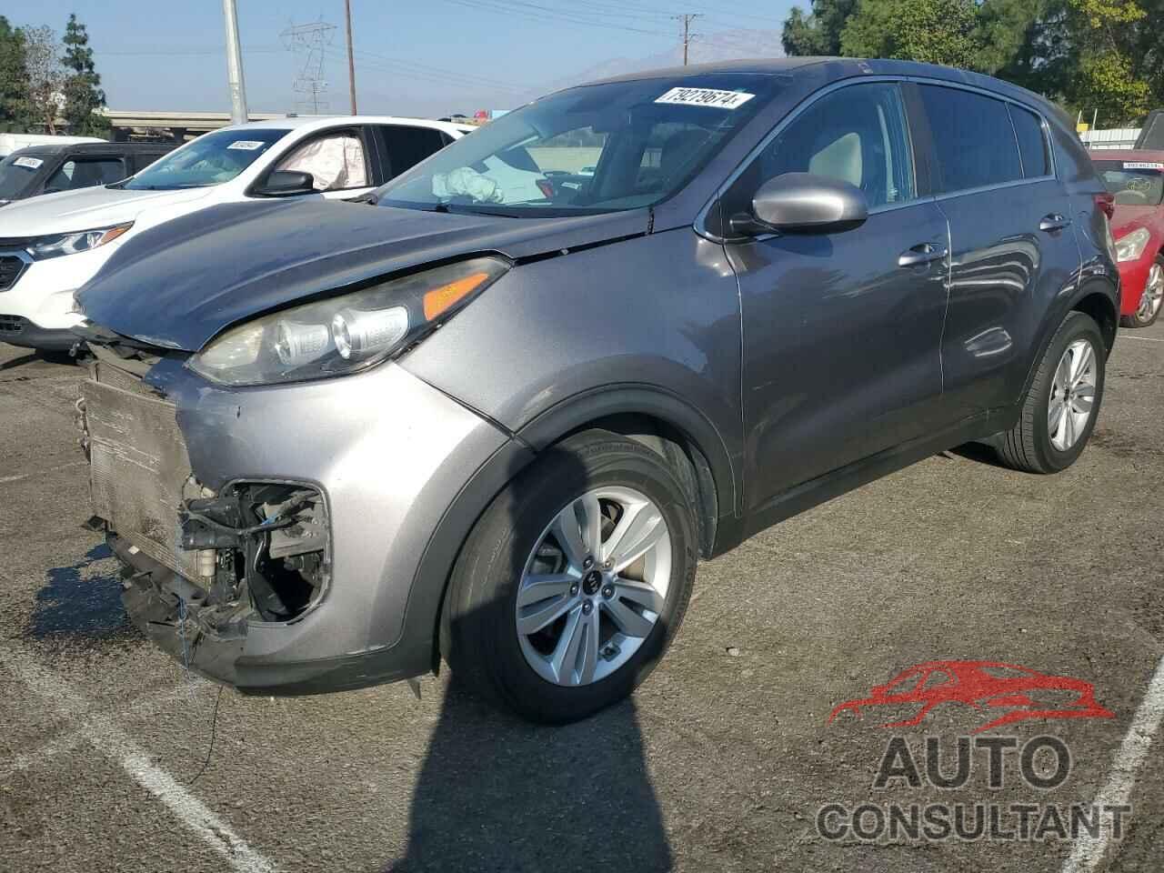 KIA SPORTAGE 2017 - KNDPM3AC1H7229576