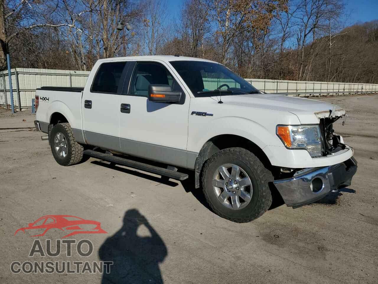FORD F-150 2013 - 1FTFW1EF8DFA52491