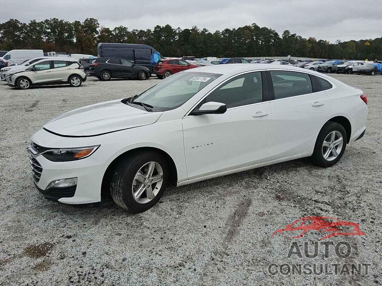 CHEVROLET MALIBU 2024 - 1G1ZD5ST5RF126891