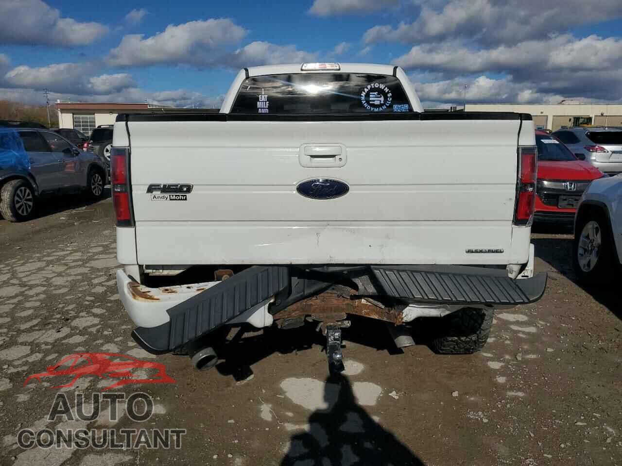 FORD F-150 2013 - 1FTFW1EF1DFD60067