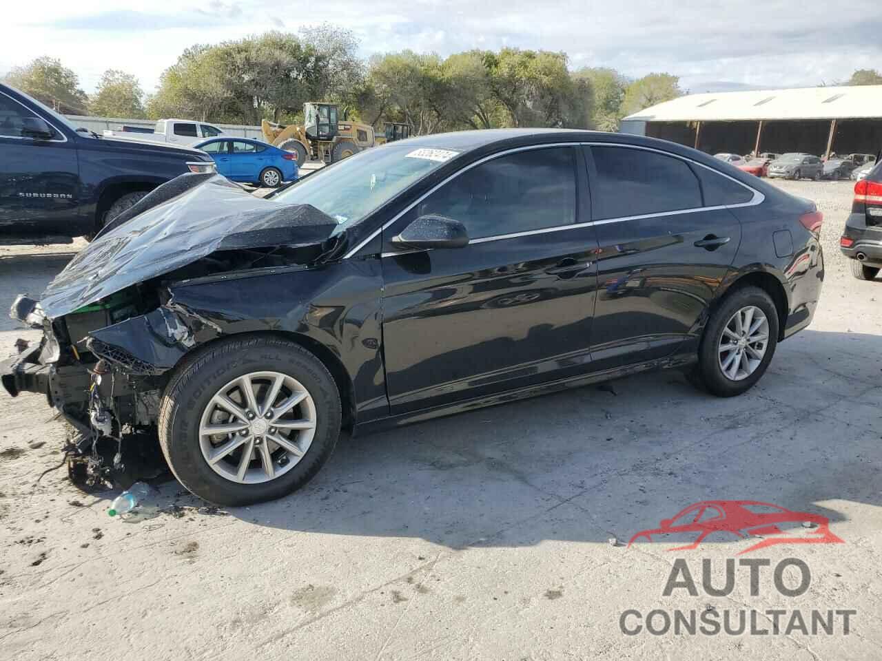 HYUNDAI SONATA 2019 - 5NPE24AF3KH810464