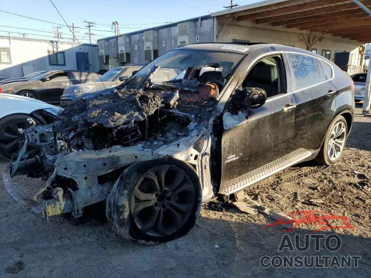 BMW X6 2011 - 5UXFG8C52BLZ96767