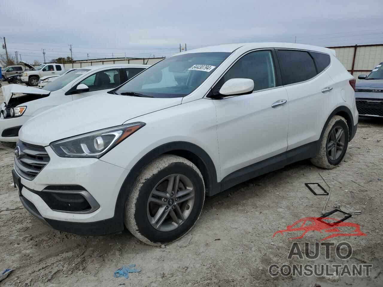 HYUNDAI SANTA FE 2017 - 5NMZTDLB4HH043920