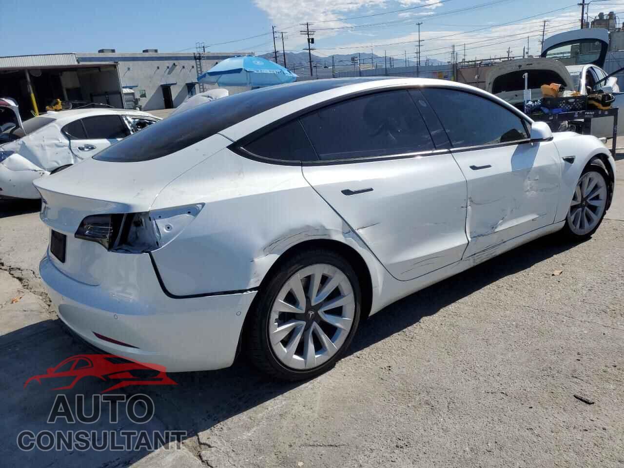 TESLA MODEL 3 2021 - 5YJ3E1EA5MF068372