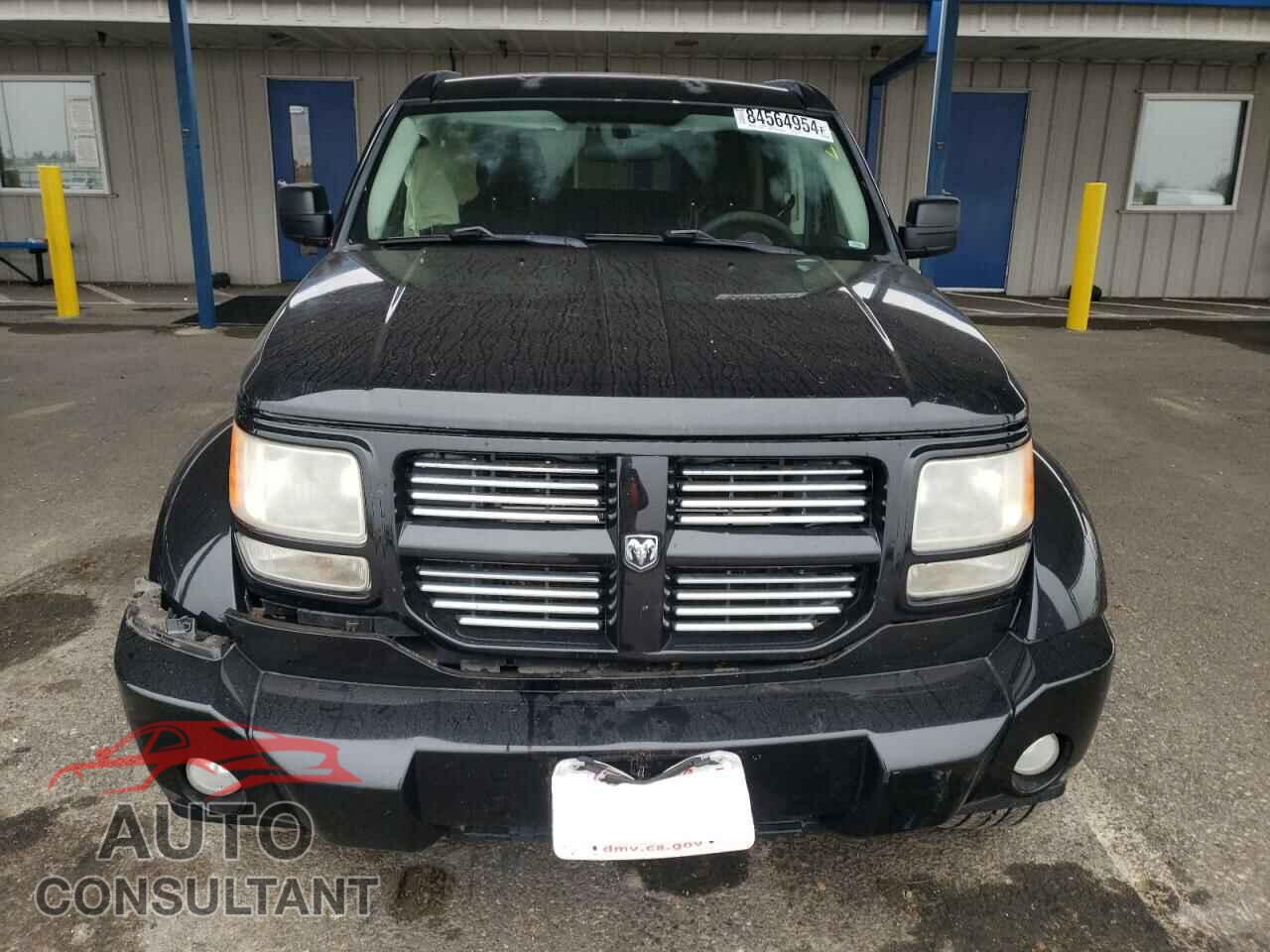 DODGE NITRO 2011 - 1D4PU4GKXBW513101