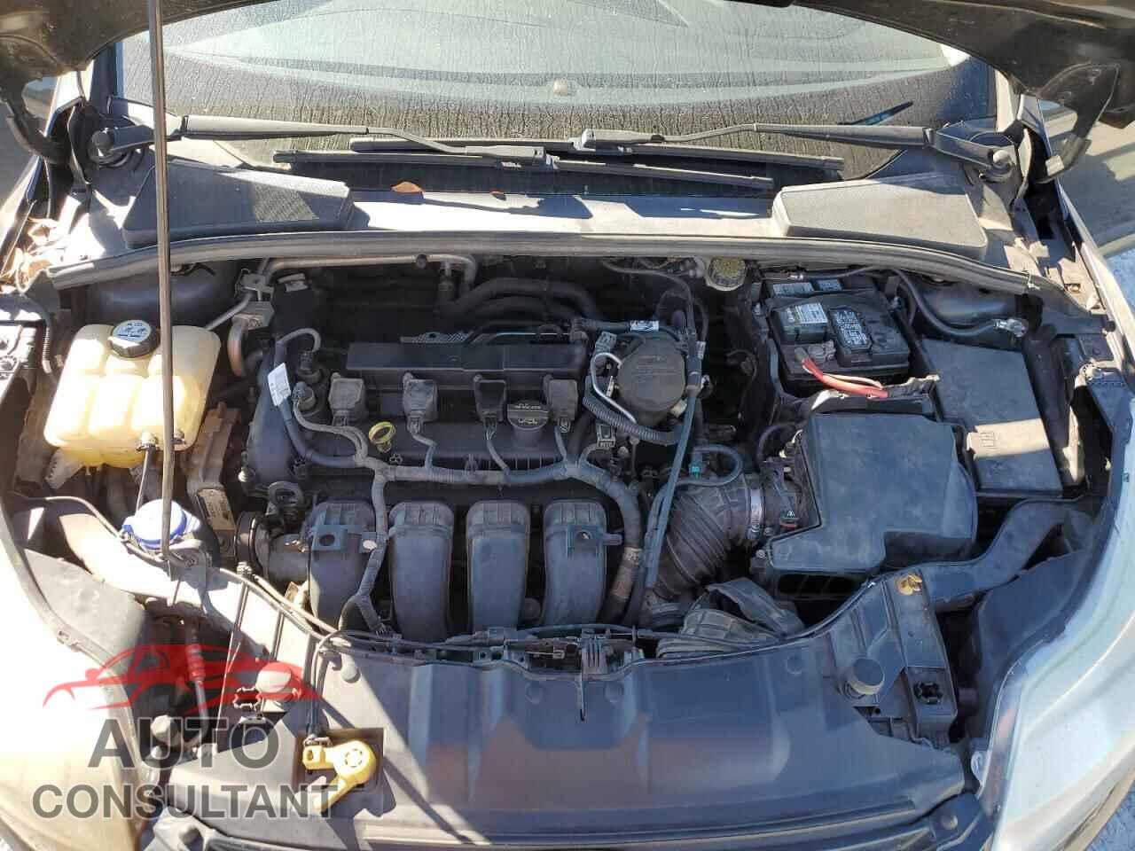 FORD FOCUS 2012 - 1FAHP3M26CL399159