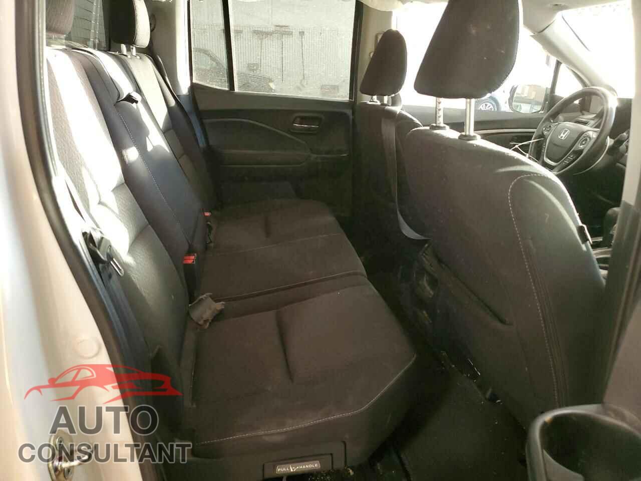 HONDA RIDGELINE 2019 - 5FPYK3F16KB046099