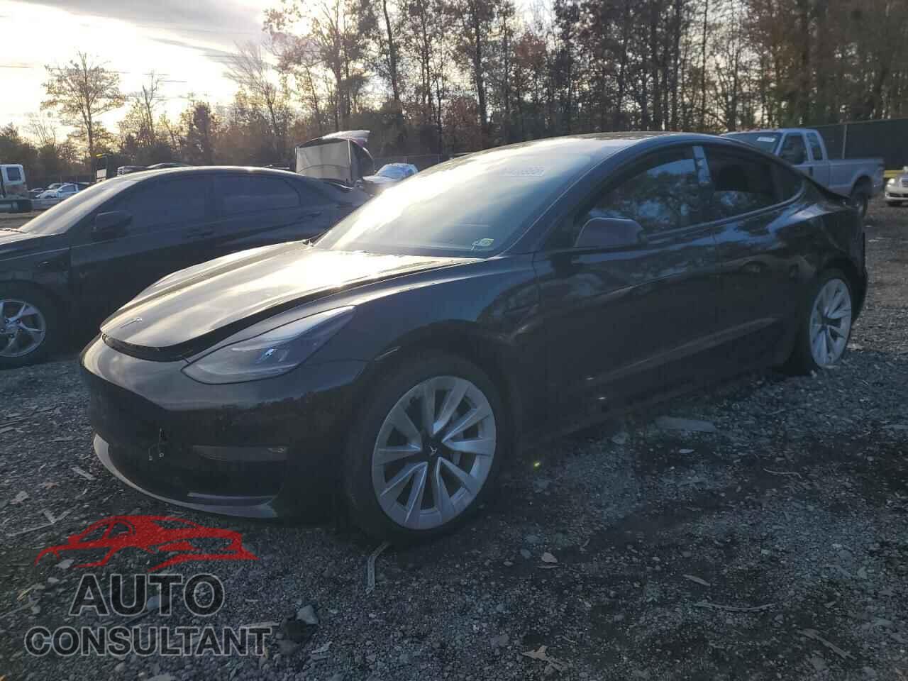 TESLA MODEL 3 2021 - 5YJ3E1EB2MF924199