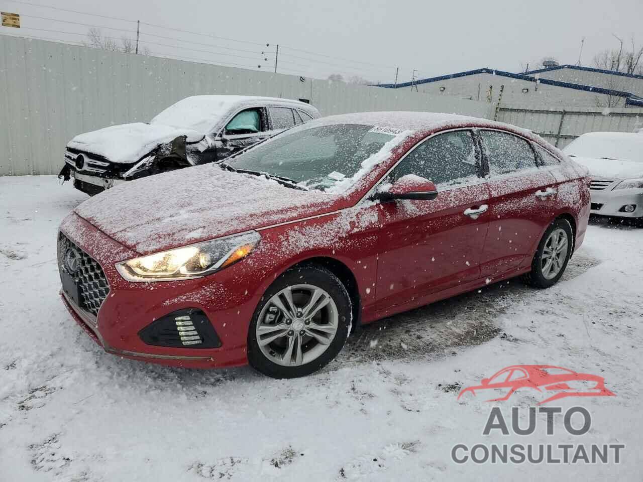 HYUNDAI SONATA 2019 - 5NPE34AF5KH803741