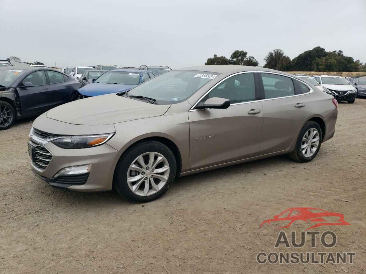 CHEVROLET MALIBU 2022 - 1G1ZD5ST1NF172020