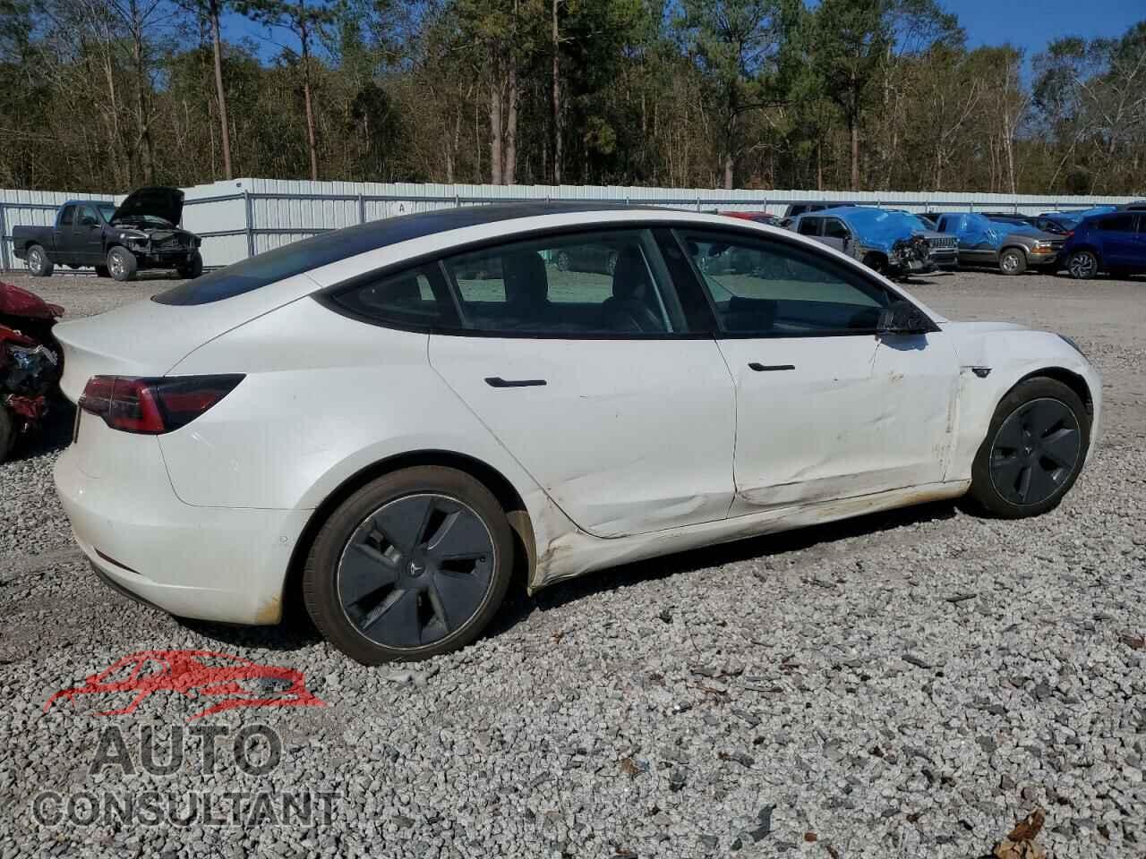 TESLA MODEL 3 2021 - 5YJ3E1EA0MF976356