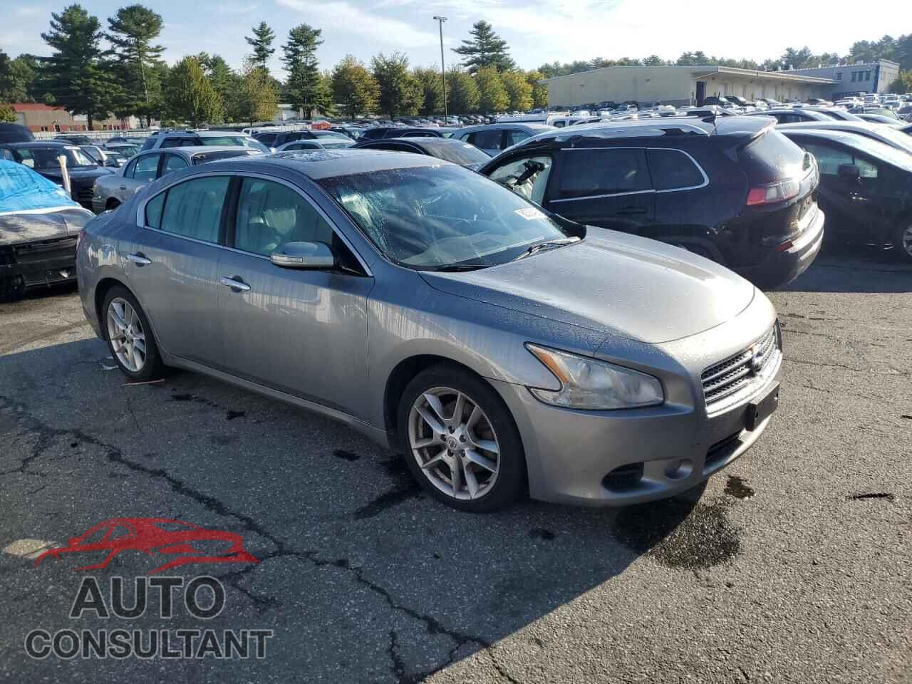 NISSAN MAXIMA 2009 - 1N4AA51E79C856485
