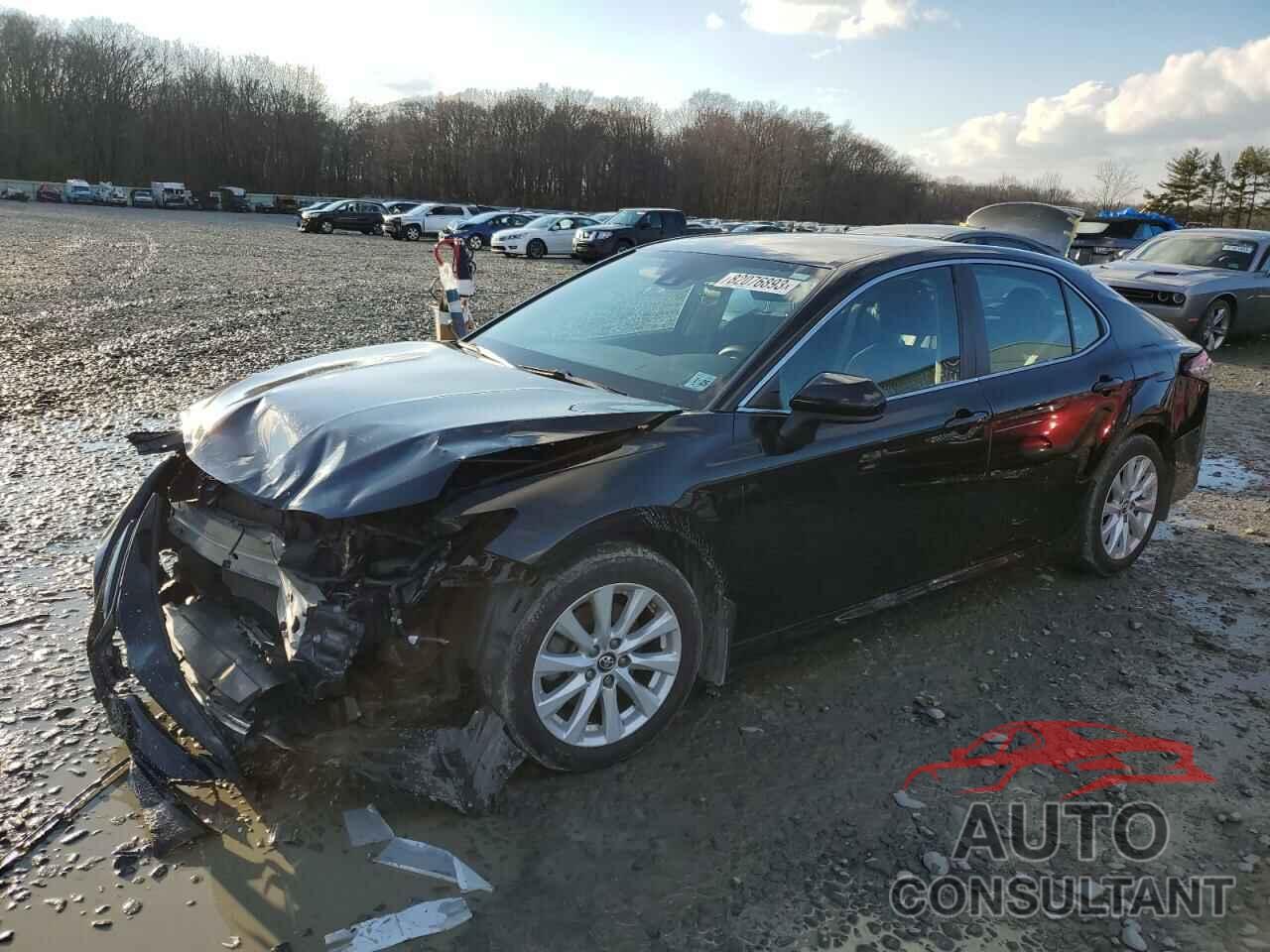 TOYOTA CAMRY 2019 - 4T1B11HK1KU234771