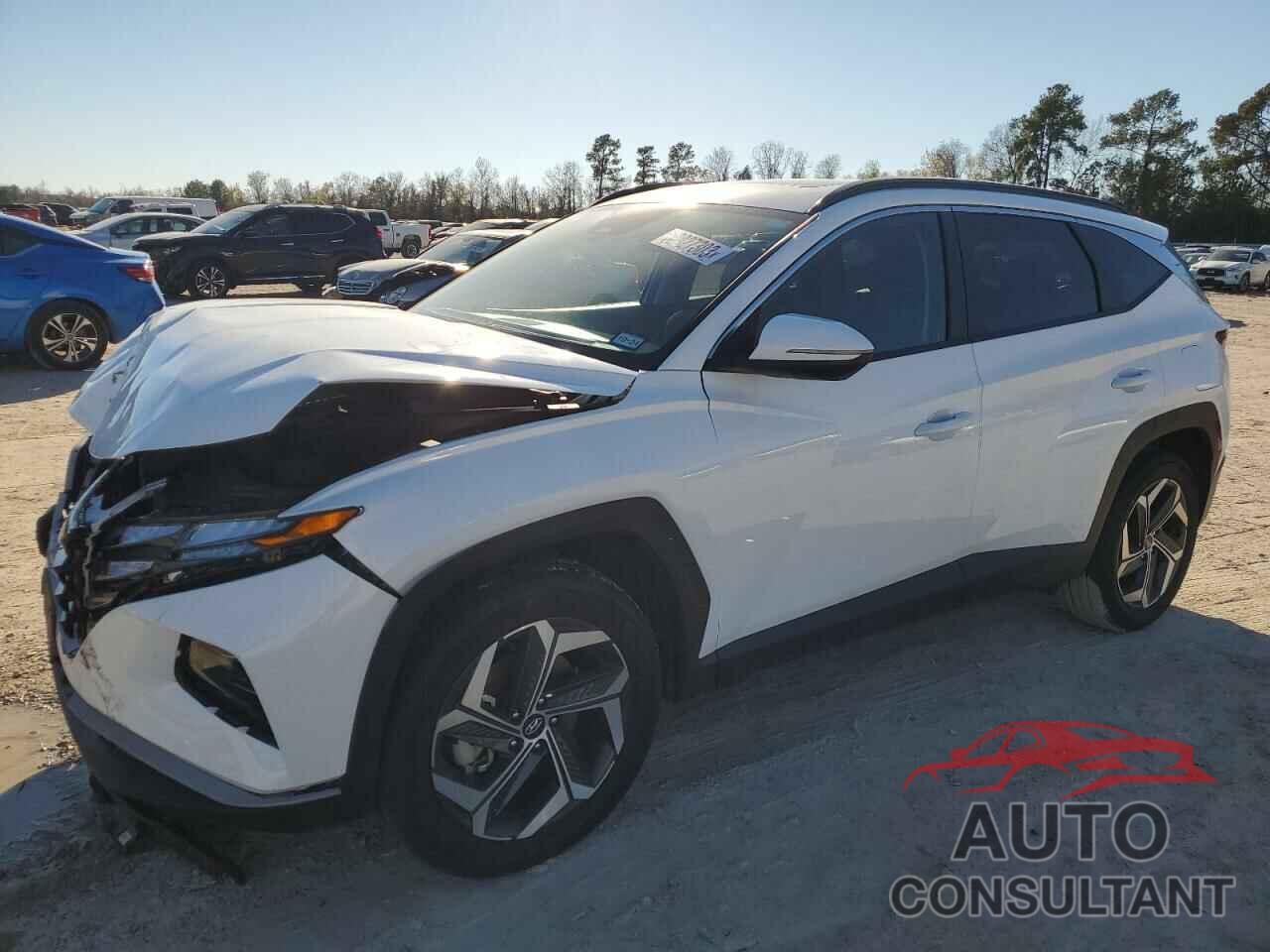 HYUNDAI TUCSON 2023 - 5NMJFCAE8PH184001