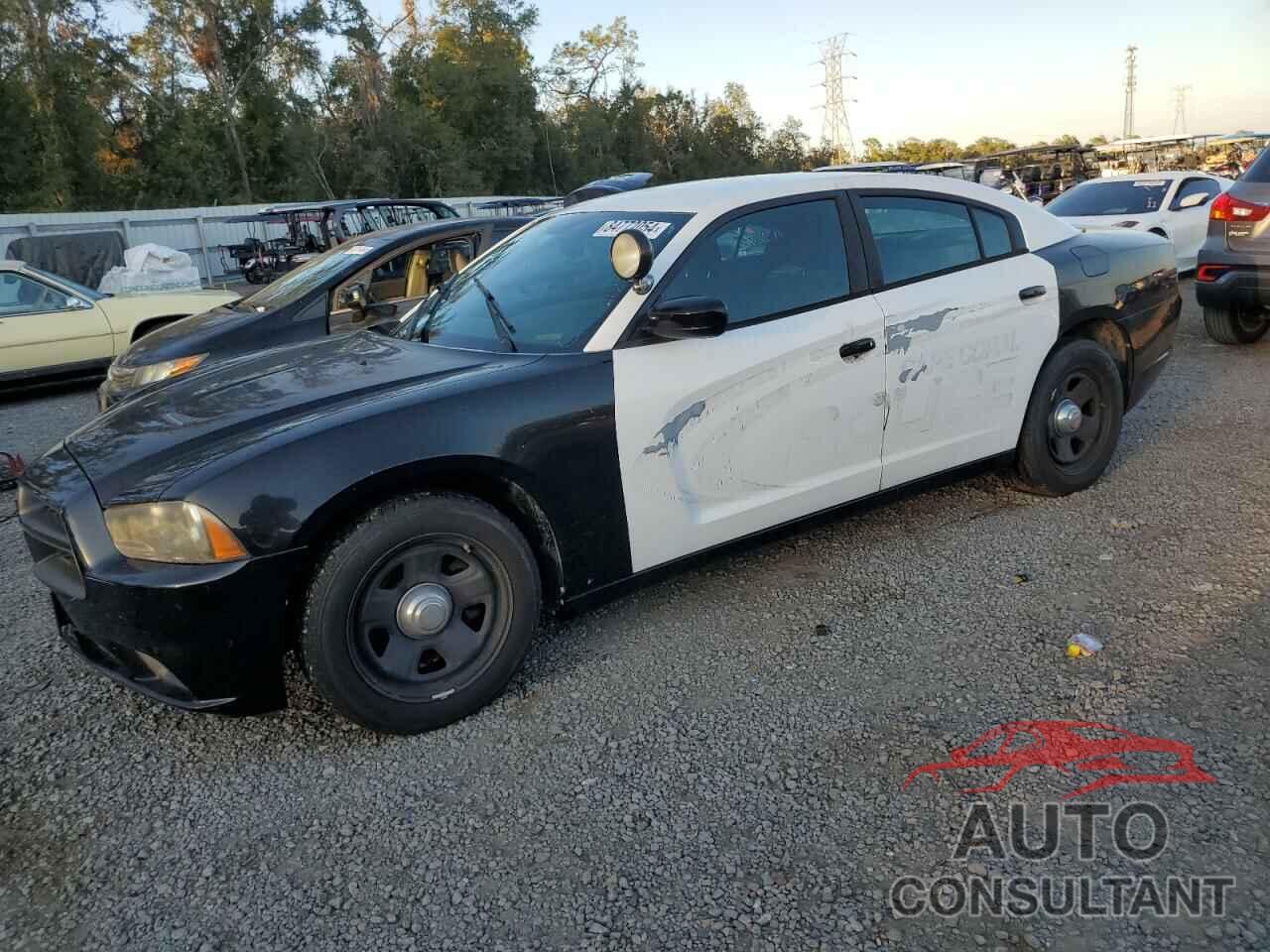 DODGE CHARGER 2014 - 2C3CDXAG1EH124811