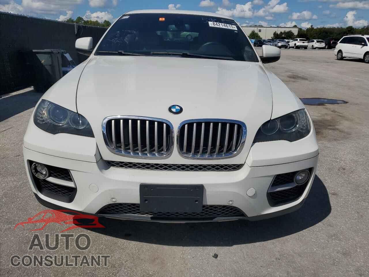 BMW X6 2013 - 5UXFG8C58DL590964