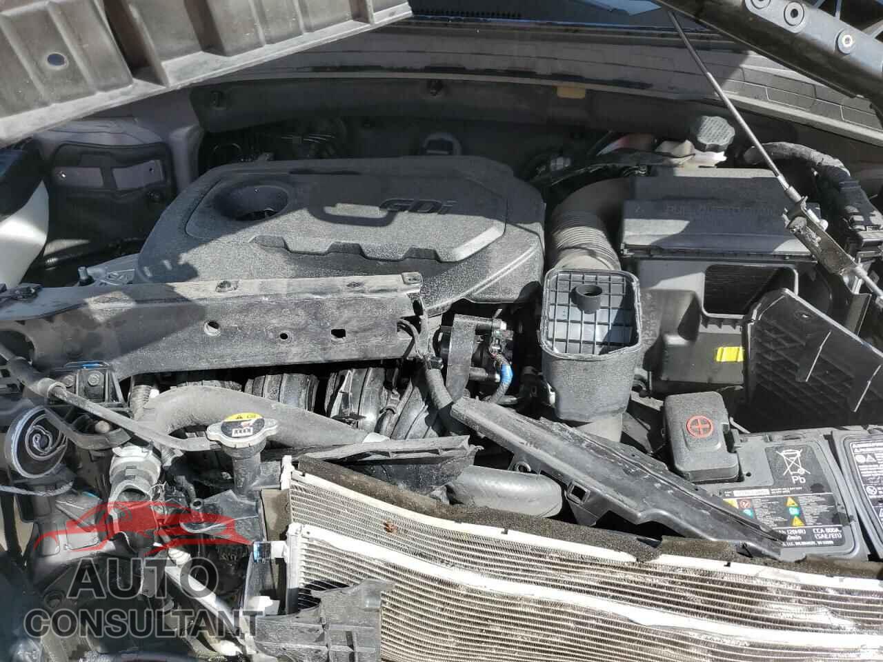 HYUNDAI SANTA FE 2020 - 5NMS33AD2LH257359