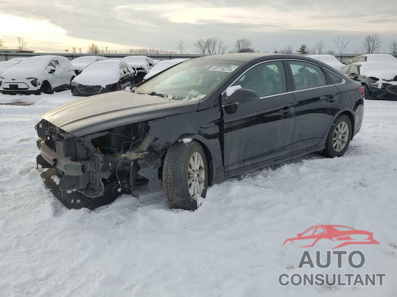 HYUNDAI SONATA 2019 - 5NPE24AF2KH738950