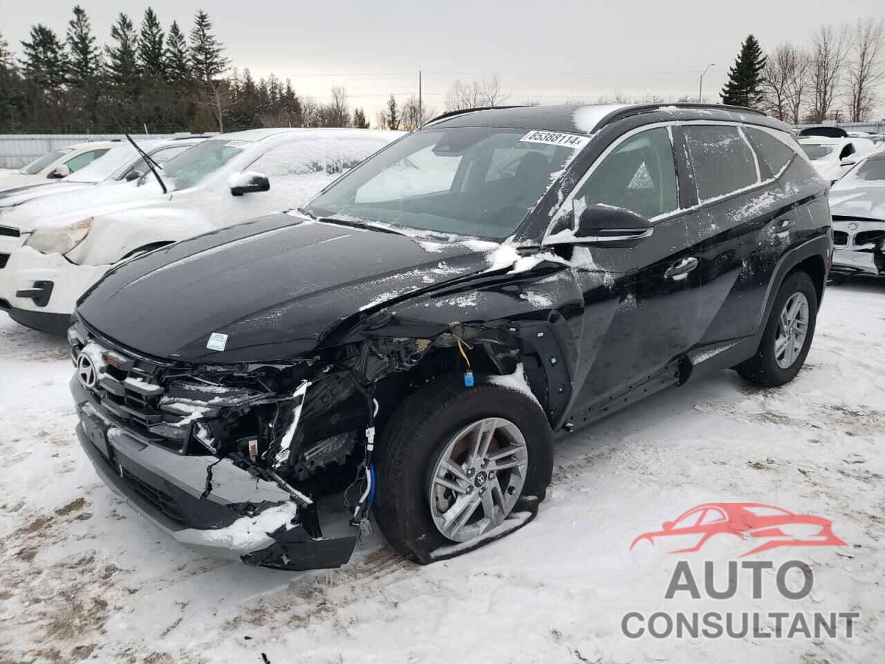 HYUNDAI TUCSON 2025 - 5NMJBCDE5SH441129