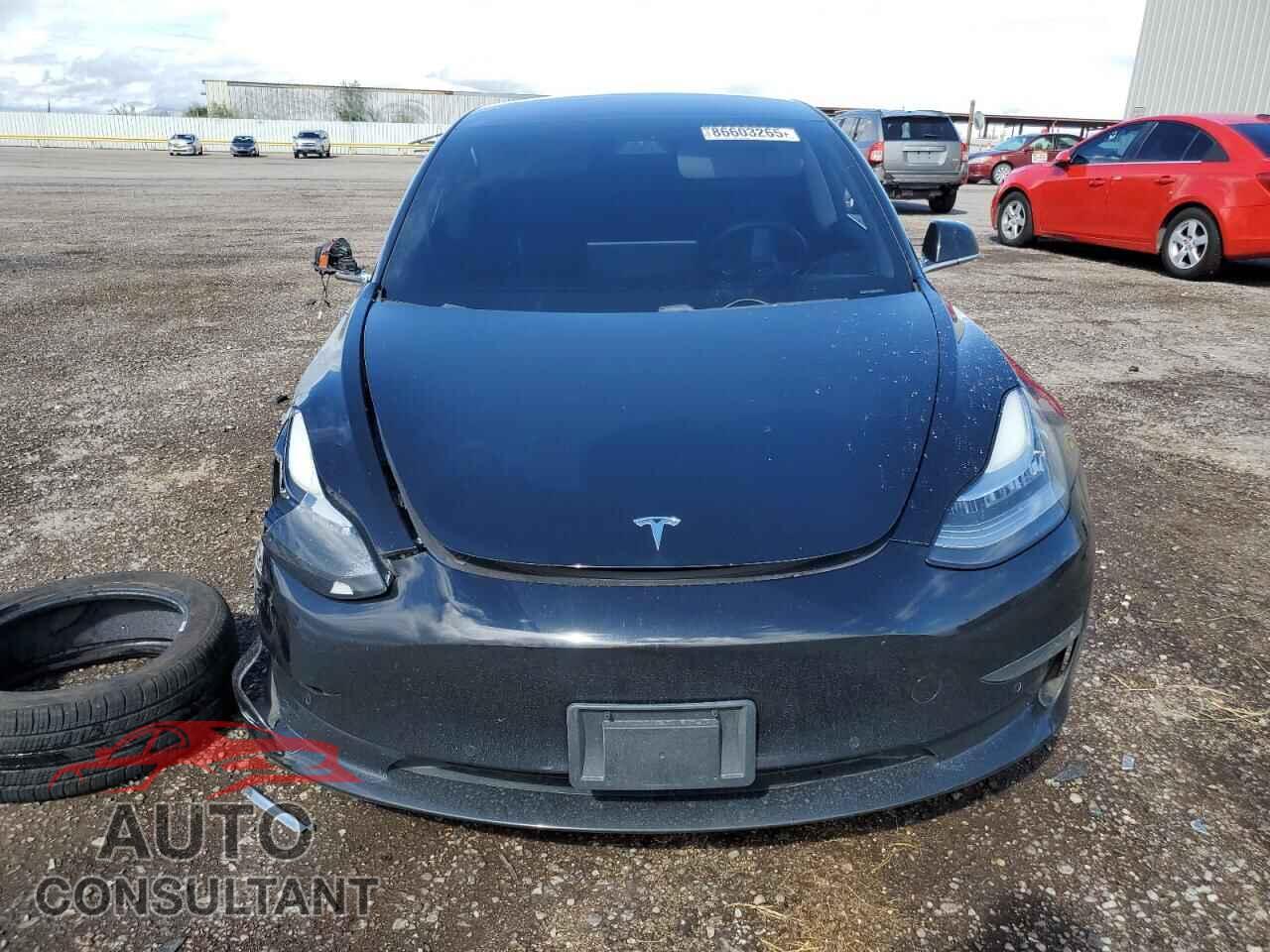 TESLA MODEL 3 2019 - 5YJ3E1EA3KF321461