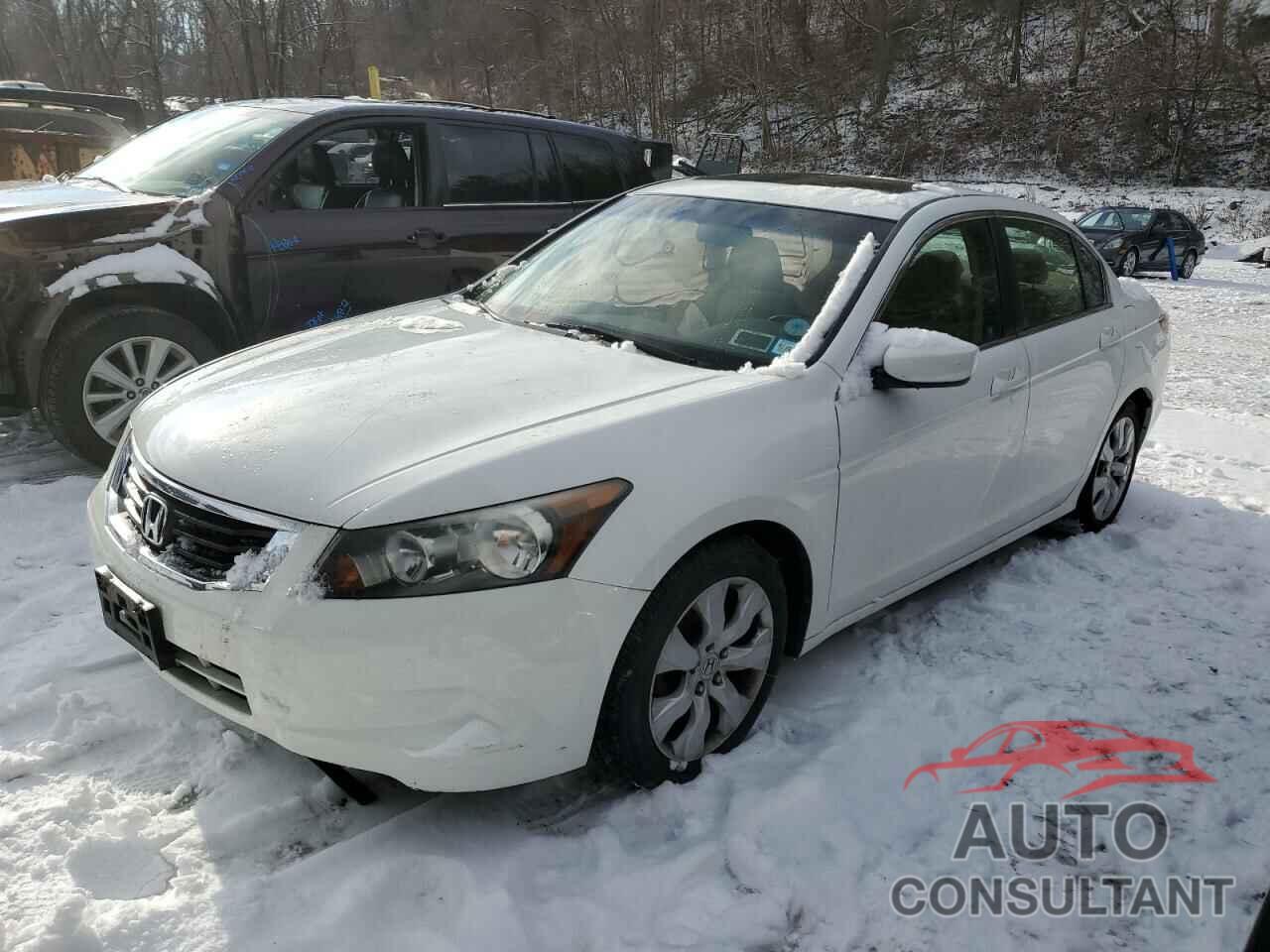 HONDA ACCORD 2010 - 1HGCP2F80AA141777