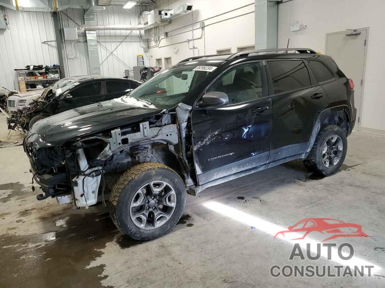 JEEP CHEROKEE 2019 - 1C4PJMBX1KD388672