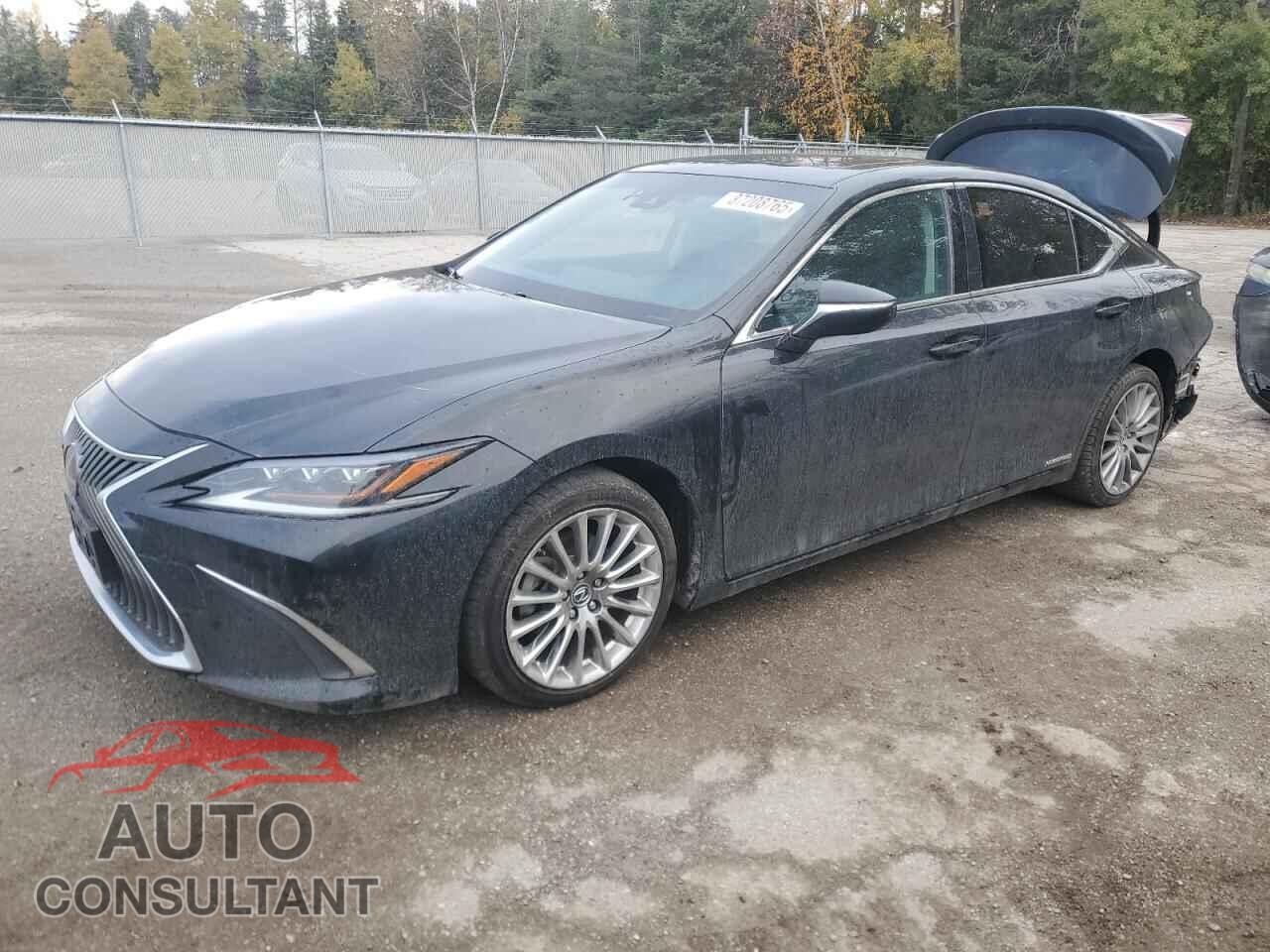 LEXUS ES300 2019 - JTHB21B1XK2006277