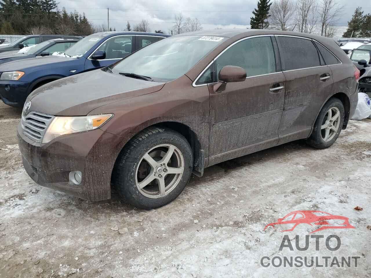 TOYOTA VENZA 2010 - 4T3BK3BB7AU034565