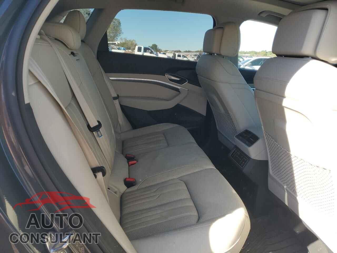 AUDI E-TRON 2019 - WA1VAAGE8KB010044